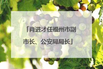 肖进才任福州市副市长、公安局局长
