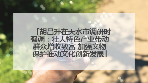 胡昌升在天水市调研时强调：壮大特色产业带动群众增收致富 加强文物保护推动文化创新发展