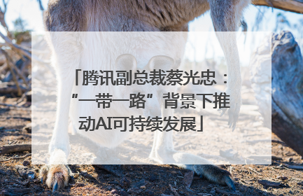 腾讯副总裁蔡光忠：“一带一路”背景下推动AI可持续发展