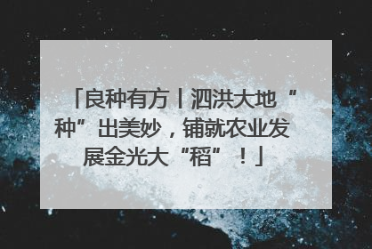 良种有方丨泗洪大地“种”出美妙，铺就农业发展金光大“稻”！