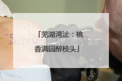 芜湖湾沚：桃香满园醉枝头