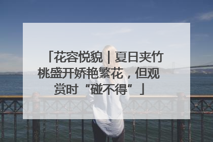 花容悦貌｜夏日夹竹桃盛开娇艳繁花，但观赏时“碰不得”