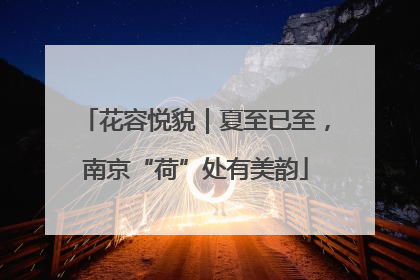 花容悦貌｜夏至已至，南京“荷”处有美韵