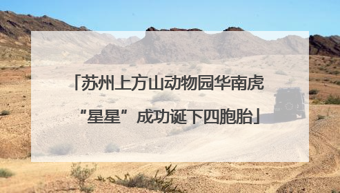 苏州上方山动物园华南虎“星星”成功诞下四胞胎