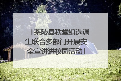 茶陵县秩堂镇选调生联合多部门开展安全宣讲进校园活动