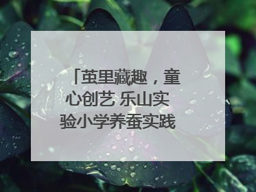 茧里藏趣，童心创艺 乐山实验小学养蚕实践绘就成长画卷
