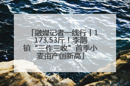 融媒记者一线行丨1173.53斤！李鹊镇“三作三收”首季小麦亩产创新高