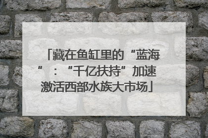 藏在鱼缸里的“蓝海”：“千亿扶持”加速激活西部水族大市场
