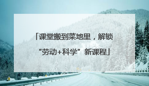 课堂搬到菜地里，解锁“劳动+科学”新课程