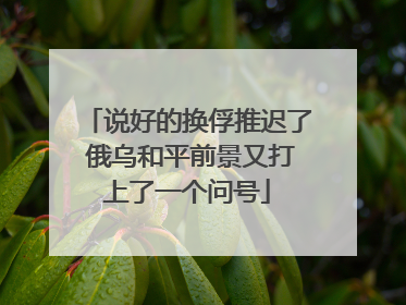 说好的换俘推迟了 俄乌和平前景又打上了一个问号