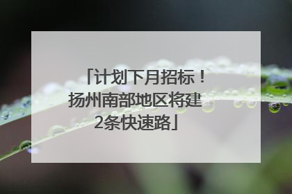 计划下月招标！扬州南部地区将建2条快速路