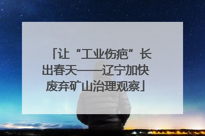 让“工业伤疤”长出春天——辽宁加快废弃矿山治理观察