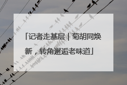记者走基层｜菊胡同焕新，转角邂逅老味道