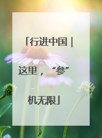 行进中国｜这里，“参”机无限