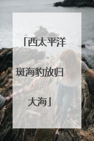 西太平洋斑海豹放归大海