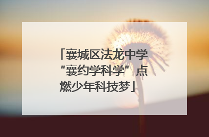 襄城区法龙中学“襄约学科学”点燃少年科技梦