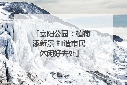 襄阳公园：植荷添新景 打造市民休闲好去处