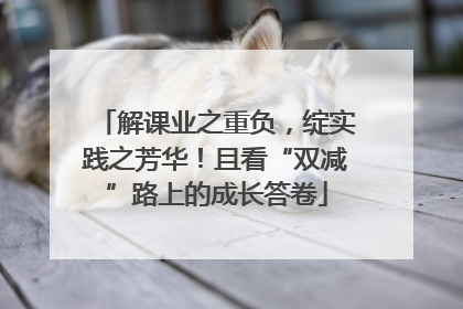 解课业之重负，绽实践之芳华！且看“双减”路上的成长答卷