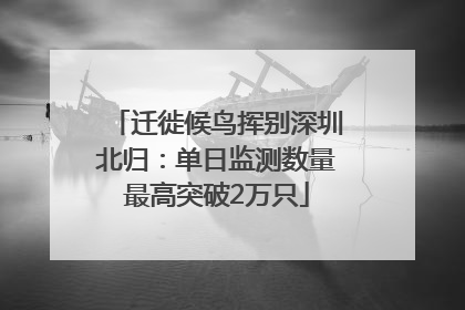迁徙候鸟挥别深圳北归：单日监测数量最高突破2万只