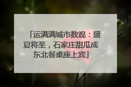 运满满城市数观：盛夏将至，石家庄甜瓜成东北餐桌座上宾