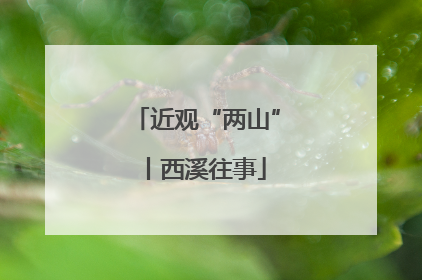 近观“两山”丨西溪往事