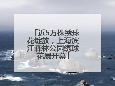 近5万株绣球花绽放，上海滨江森林公园绣球花展开幕