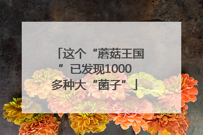 这个“蘑菇王国”已发现1000多种大“菌子”