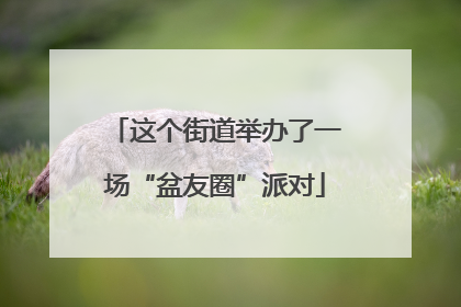 这个街道举办了一场“盆友圈”派对