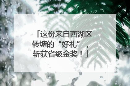 这份来自西湖区转塘的“好礼”，斩获省级金奖！