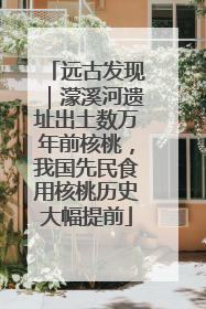 远古发现｜濛溪河遗址出土数万年前核桃，我国先民食用核桃历史大幅提前