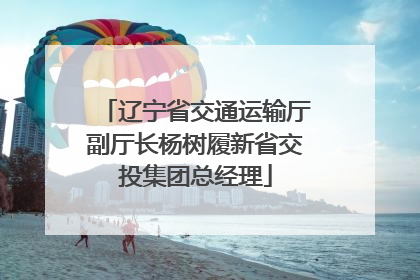 辽宁省交通运输厅副厅长杨树履新省交投集团总经理