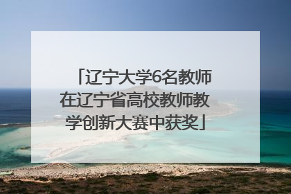 辽宁大学6名教师在辽宁省高校教师教学创新大赛中获奖