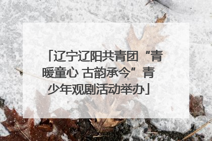 辽宁辽阳共青团“青暖童心 古韵承今”青少年观剧活动举办