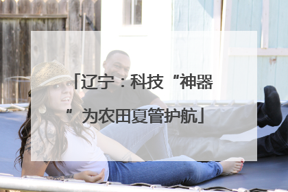 辽宁：科技“神器”为农田夏管护航
