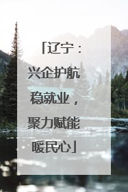辽宁：兴企护航稳就业，聚力赋能暖民心