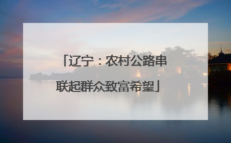 辽宁：农村公路串联起群众致富希望