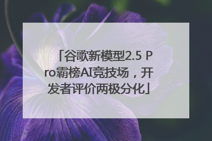 谷歌新模型2.5 Pro霸榜AI竞技场，开发者评价两极分化