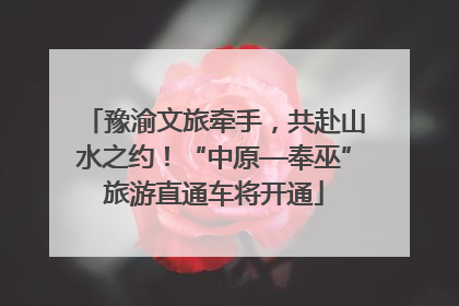 豫渝文旅牵手，共赴山水之约！“中原—奉巫”旅游直通车将开通