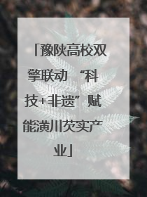 豫陕高校双擎联动 “科技+非遗”赋能潢川芡实产业