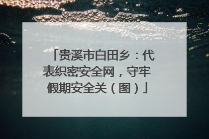 贵溪市白田乡：代表织密安全网，守牢假期安全关（图）