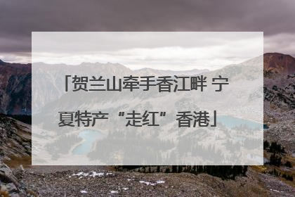 贺兰山牵手香江畔 宁夏特产“走红”香港