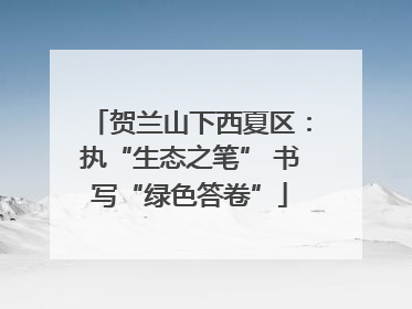 贺兰山下西夏区：执“生态之笔” 书写“绿色答卷”