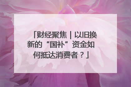财经聚焦｜以旧换新的“国补”资金如何抵达消费者？
