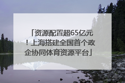 资源配置超65亿元！上海搭建全国首个政企协同体育资源平台