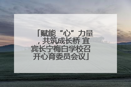 赋能“心”力量，共筑成长桥 宜宾长宁梅白学校召开心育委员会议