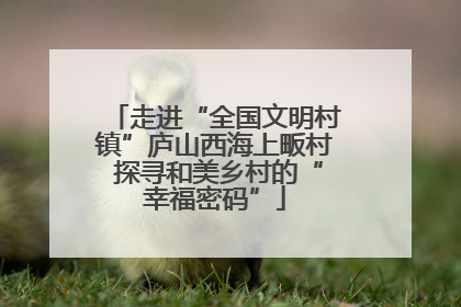走进“全国文明村镇”庐山西海上畈村 探寻和美乡村的“幸福密码”