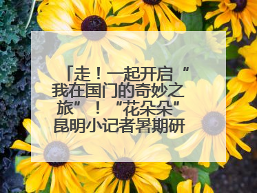 走！一起开启“我在国门的奇妙之旅”！“花朵朵”昆明小记者暑期研学营招生啦