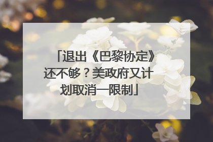 退出《巴黎协定》还不够？美政府又计划取消一限制
