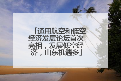 通用航空和低空经济发展论坛首次亮相，发展低空经济，山东机遇多