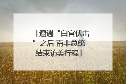 遭遇“白宫伏击”之后 南非总统结束访美行程